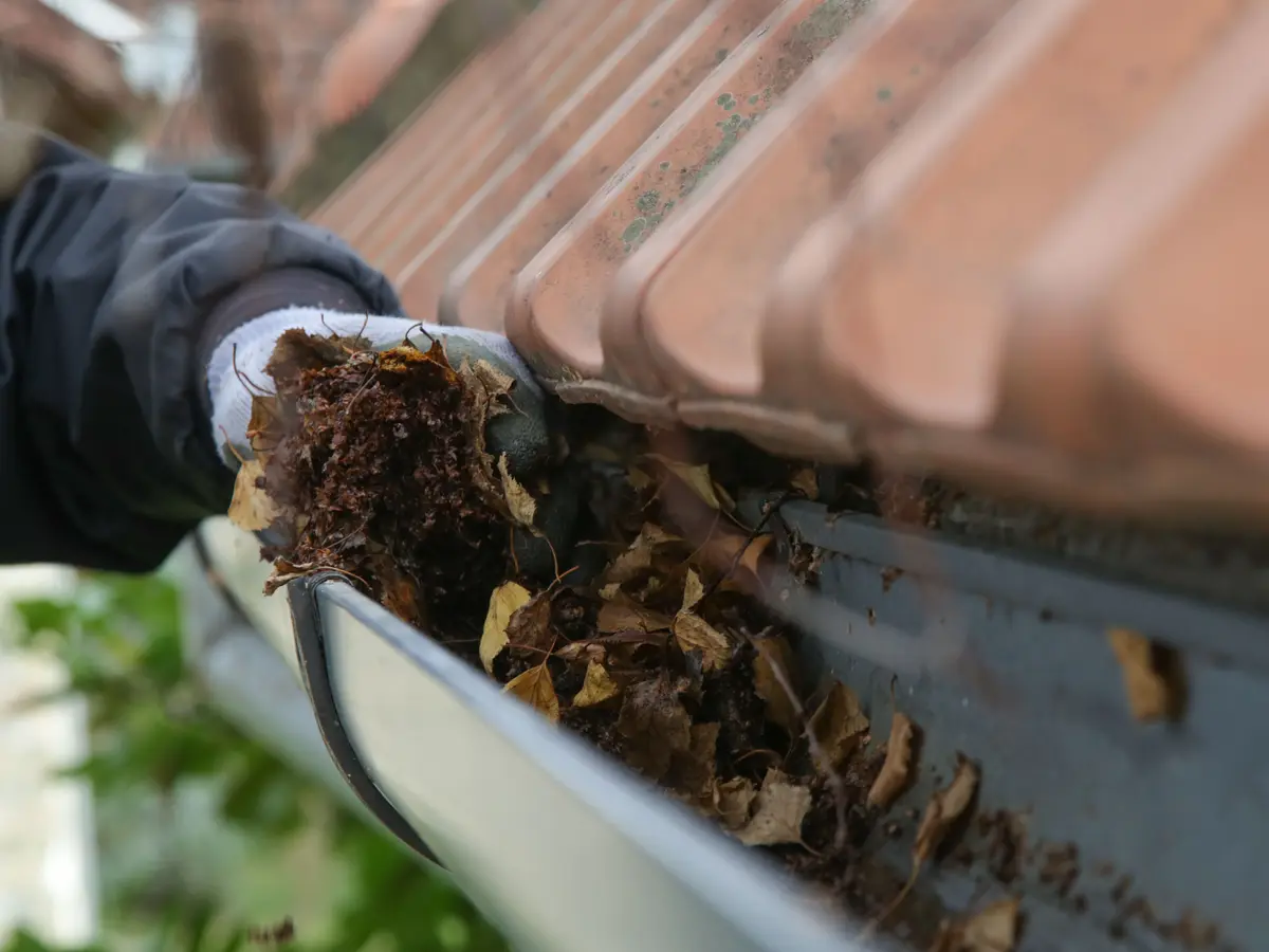 Clearing leaves from a blocked gutter