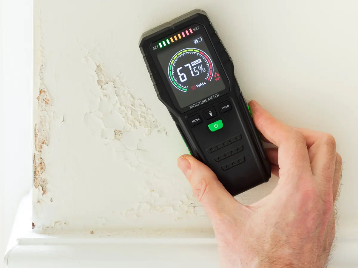 Moisture meter testing a damp wall